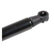 RIDEX Bagaj kapağı desteği 422mm — 2016 DS Ds3 (4)
