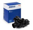 MAHLE Termostat 103°C — 2016 BMW X4 (1)
