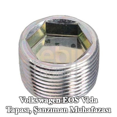 FEBI BILSTEIN Vida Tapası, şanzıman muhafazası — Volkswagen Eos