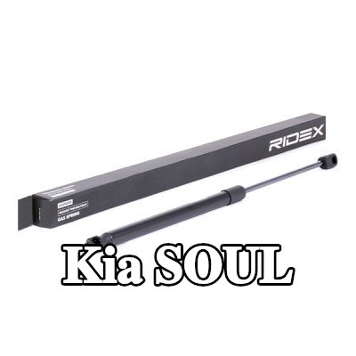 RIDEX دعامة الباب الخلفي 495mm — Kia Soul