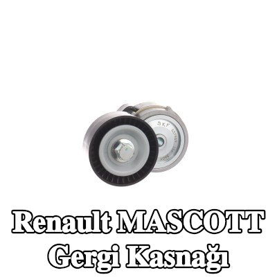 SKF Gergi kasnağı Ø: 65mm — Renault Mascott