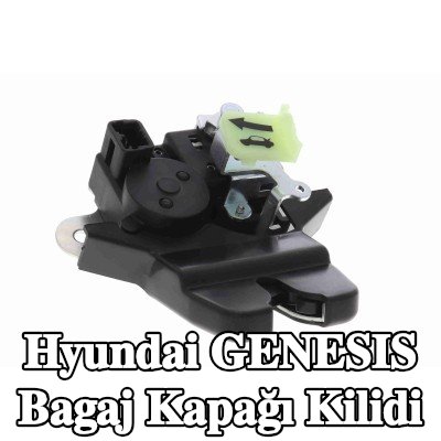 ACKOJA Bagaj kapağı kilidi Arka, Araç Bagaj Kapağı — Hyundai Genesis