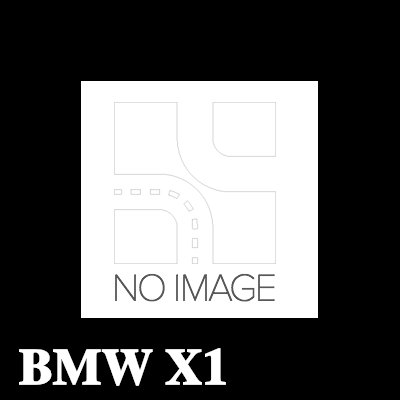 BMW برغي اللوحة — BMW X1