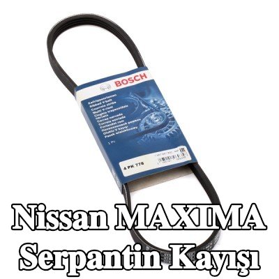 BOSCH Serpantin kayışı 778mm, Number of ribs: 4 — Nissan Maxima