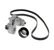 RIDEX PLUS V-Oluklu Kayış Seti — 2000 Ford Focus (2)
