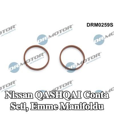 DR.MOTOR AUTOMOTIVE Conta Seti, emme manifoldu — Nissan Qashqai