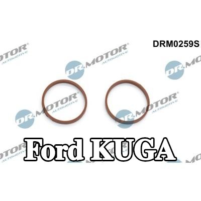 DR.MOTOR AUTOMOTIVE مجموعة حشيات، مشعب السحب — Ford Kuga