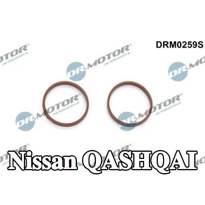 DR.MOTOR AUTOMOTIVE مجموعة حشيات، مشعب السحب — Nissan Qashqai