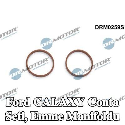 DR.MOTOR AUTOMOTIVE Conta Seti, emme manifoldu — 2012 Ford Galaxy