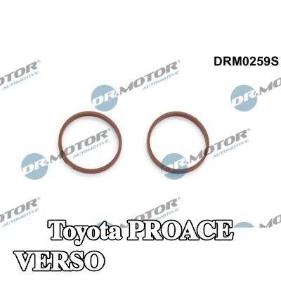 DR.MOTOR AUTOMOTIVE مجموعة حشيات، مشعب السحب — Toyota Proace Verso