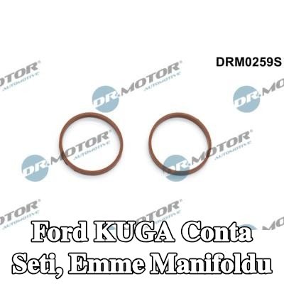 DR.MOTOR AUTOMOTIVE Conta Seti, emme manifoldu — Ford Kuga