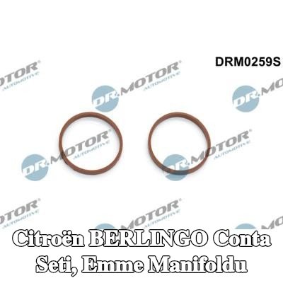 DR.MOTOR AUTOMOTIVE Conta Seti, emme manifoldu — Citroën Berlingo