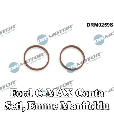 DR.MOTOR AUTOMOTIVE Conta Seti, emme manifoldu — 2011 Ford C-max