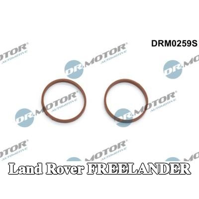 DR.MOTOR AUTOMOTIVE مجموعة حشيات، مشعب السحب — Land Rover Freelander