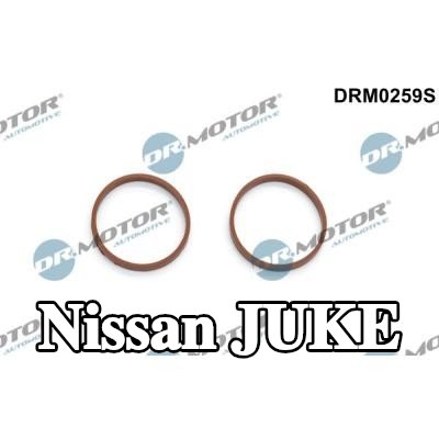 DR.MOTOR AUTOMOTIVE مجموعة حشيات، مشعب السحب — Nissan Juke