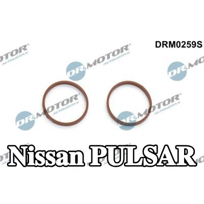 DR.MOTOR AUTOMOTIVE مجموعة حشيات، مشعب السحب — Nissan Pulsar