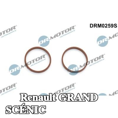DR.MOTOR AUTOMOTIVE مجموعة حشيات، مشعب السحب — Renault Grand Scénic