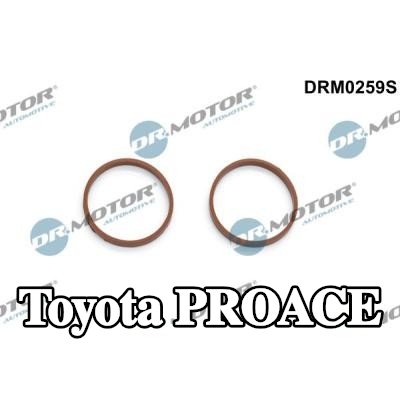 DR.MOTOR AUTOMOTIVE مجموعة حشيات، مشعب السحب — 2016 Toyota Proace