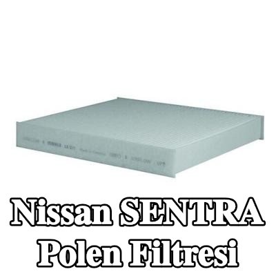 MAHLE Polen filtresi Partikül Filtresi — 2003 Nissan Sentra