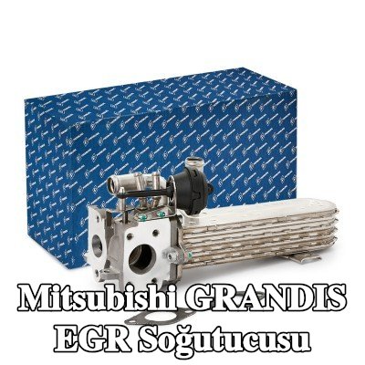 PIERBURG Contalı/sızdırmazlık elemanlı EGR soğutucu — Mitsubishi Grandis