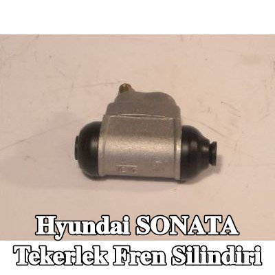 AISIN Tekerlek Fren Silindiri — Hyundai Sonata