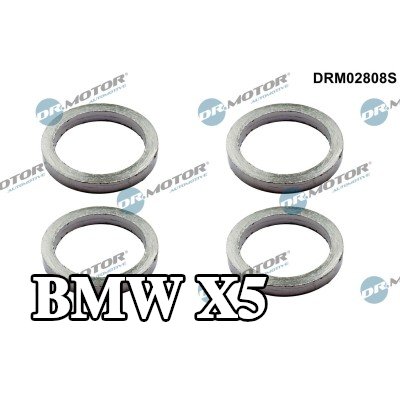 DR.MOTOR AUTOMOTIVE مجموعة حشيات، مشعب العادم — BMW X5