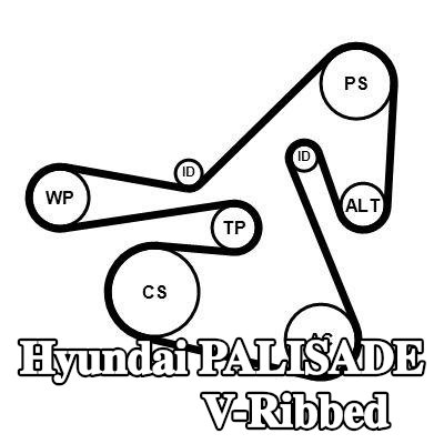 CONTITECH مجموعة أحزمة V-Ribbed — Hyundai Palisade