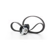 SKF Zincir Tahrik Kiti Diş Sayısı: 134 — 2012 Peugeot 408 (5)