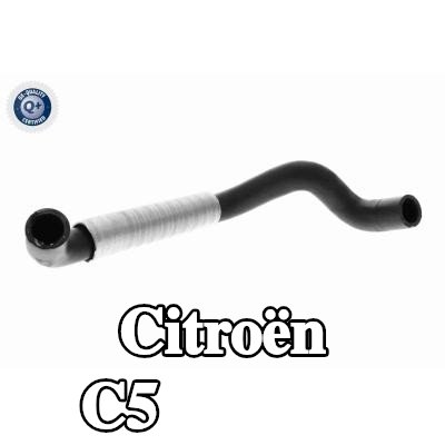 VAICO خرطوم المبرد — 2012 Citroën C5