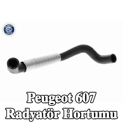 VAICO Radyatör hortumu — Peugeot 607