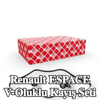 FEBI BILSTEIN V-Oluklu Kayış Seti — 2002 Renault Espace