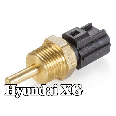HELLA مستشعر, coolant temperature 3/8 GAS — Hyundai Xg