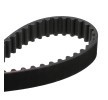 GATES Su pompası ve triger kayışı kiti PowerGrip, G-Force Redline™, su pompalı — Ford Courier (6)