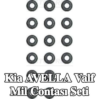 REINZ Valf mil contası seti — Kia Avella