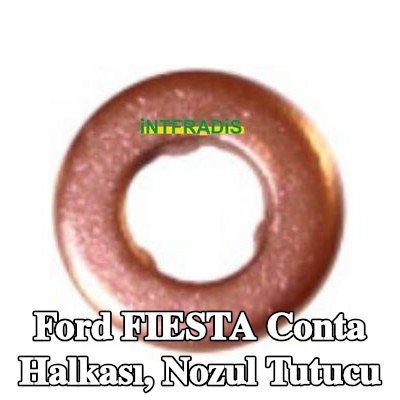 INTFRADIS Conta halkası, nozul tutucu — 2002 Ford Fiesta