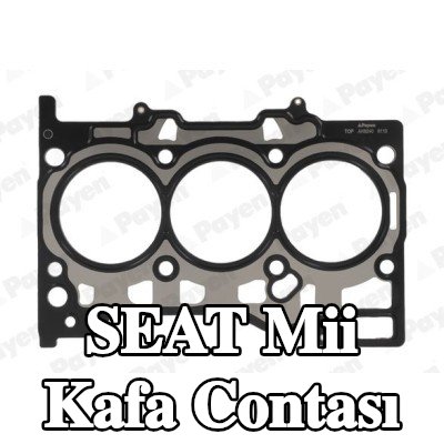 PAYEN Kafa contası 0, 3mm — SEAT Mii