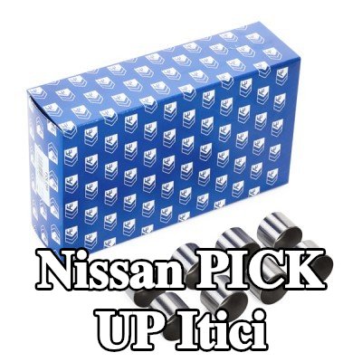 AE Itici — Nissan Pick Up
