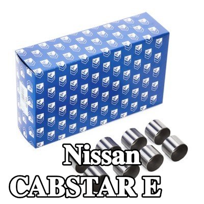 AE صمام — Nissan Cabstar E