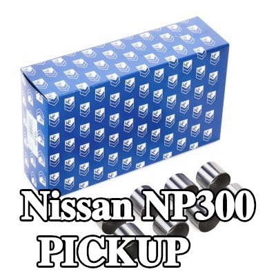 AE صمام — Nissan Np300 Pickup