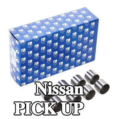 AE صمام — Nissan Pick Up