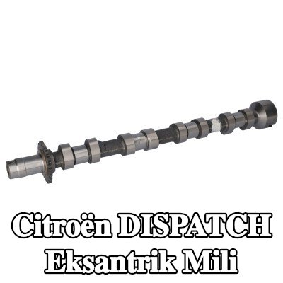 FEBI BILSTEIN Egzoz tarafı eksantrik mili — Citroën Dispatch