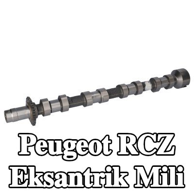 FEBI BILSTEIN Egzoz tarafı eksantrik mili — Peugeot Rcz