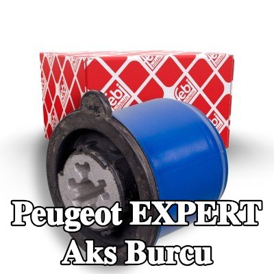 FEBI BILSTEIN Arka aks burcu, Arka Aks Sol, Arka Aks Sağ — Peugeot Expert