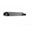 MAHLE Intercooler — Chevrolet Captiva (8)