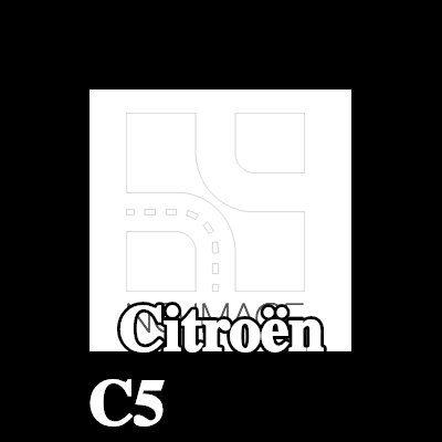 DELPHI قضيب الوقود — Citroën C5
