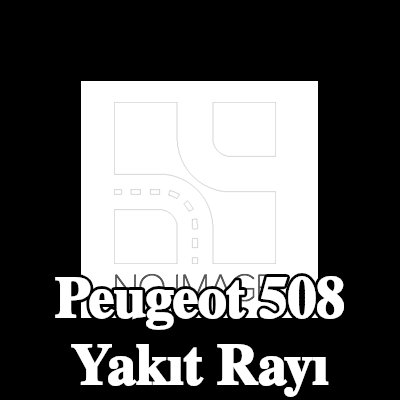 DELPHI Yakıt rayı — 2012 Peugeot 508
