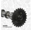 ET ENGINETEAM Egzoz tarafı eksantrik mili kiti, Emme Tarafı — Kia Proceed (4)