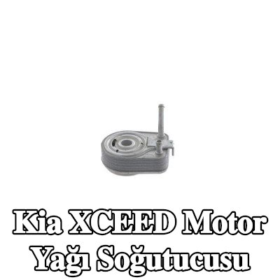 MAHLE Yağ filtresi muhafazası olmayan motor yağı soğutucusu, conta halkası ile — Kia Xceed