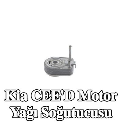 MAHLE Yağ filtresi muhafazası olmayan motor yağı soğutucusu, conta halkası ile — Kia Cee'd