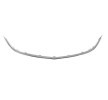 BLIC Trim / Koruyucu Şerit, radyatör ızgarası — 2012 Opel Astra (1)